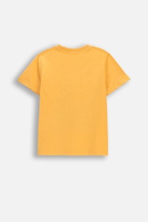 COCCODRILLO marškinėliai trumpomis rankovėmis, oranžiniai, WC6143203MBK-006-122, 122 cm 