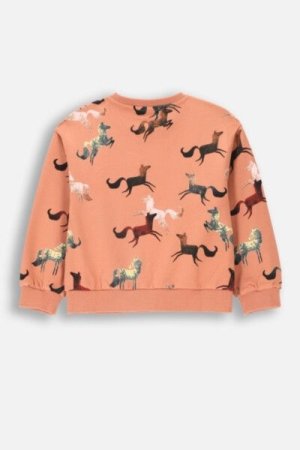 COCCODRILLO džemperis RODEO GIRL KIDS, powder pink, ZC4132101RGK-033-122, 122 cm 