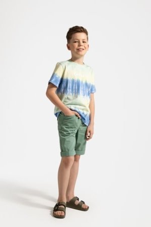 COCCODRILLO marškinėliai trumpomis rankovėmis IN THE SUN BOY JUNIOR, spalvoti, WC5143204IBJ-022-164, 164 cm 