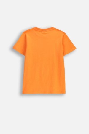 COCCODRILLO marškinėliai trumpomis rankovėmis, oranžiniai, WC6143216VBB-006-128, 128 dydis 