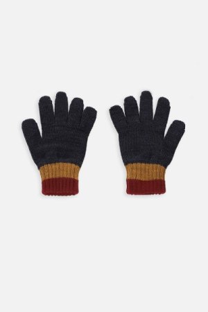 COCCODRILLO pirštuotos pirštinės ACCESSORIES WINTER BOY, multicoloured, ZC3360303AWB-022 