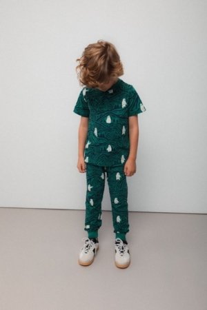 COCCODRILLO marškinėliai, spalvoti, cm 