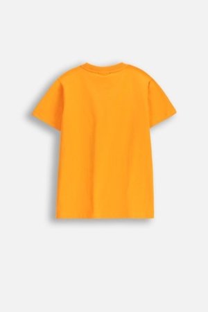 COCCODRILLO marškinėliai trumpomis rankovėmis GAMER BOY JUNIOR, oranžiniai, WC5143203GBJ-006-164, 164 cm 