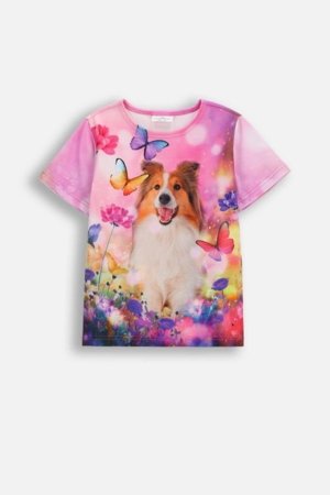 COCCODRILLO marškinėliai trumpomis rankovėmis, spalvoti, WC6143206FGK-022-092 