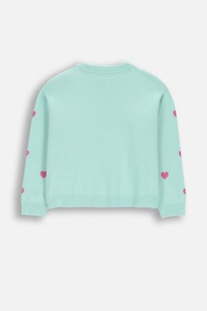 COCCODRILLO megztinis, žalias, WC6172106CSG-031-110, 110 cm 