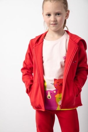 COCCODRILLO džemperis ACADEMY GIRL KIDS, raudonas, ZC5132601AGK-009-116, 116 cm 