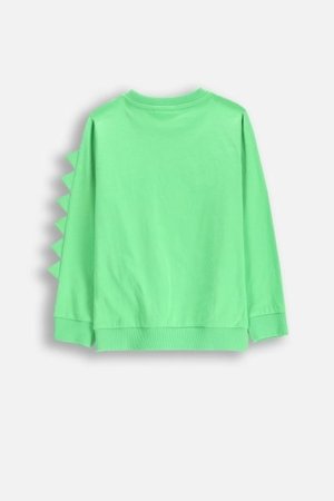 COCCODRILLO marškinėliai ilgomis rankovėmis DRAGONS BOY KIDS, žali, WC5143102DBK-011-122, 122 cm 