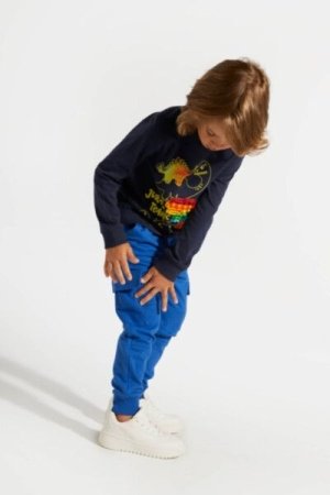 COCCODRILLO sportinės kelnės DIGITAL BOY KIDS, cobalt, ZC4120201DBK-032-122, 122 cm 
