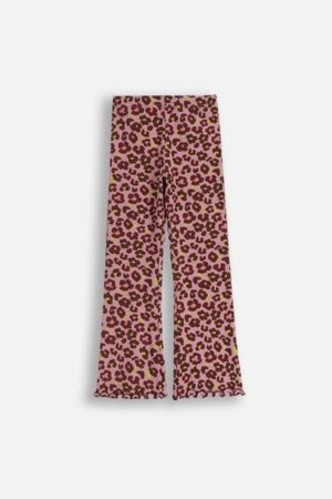 COCCODRILLO tamprės CRAFT PUNK GIRL KIDS, violetinės, ZC5122101CGK-016-122, 122 cm 