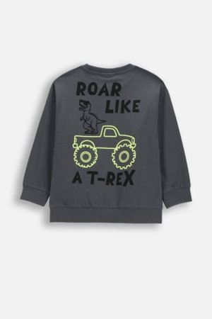 COCCODRILLO marškinėliai ilgomis rankovėmis, pilki, cm 