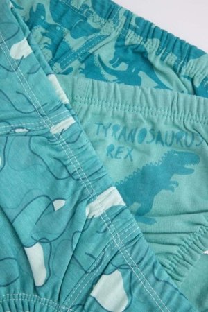 COCCODRILLO kelnaitės PANTIES, žalios, WC5409305PAN-012-140, 140 cm 