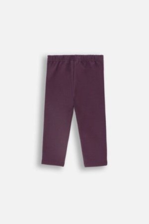 COCCODRILLO kelnės PASTELOVE GIRL NEWBORN, violetinės, ZC4120104PGN-016-086, 86 cm 