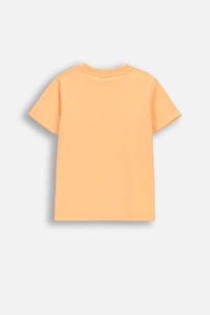 COCCODRILLO marškinėliai trumpomis rankovėmis, oranžiniai, WC6143202HBK-005-116, 116 dydis 