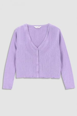 COCCODRILLO susegamas megztinis RETRO PICNIC KIDS, violetinis, WC3172201RPK-016 WC3172201RPK-016-110