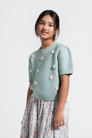COCCODRILLO megztinis GARDEN ENGLISH JUNIOR, mint, WC4172101GEJ-031 