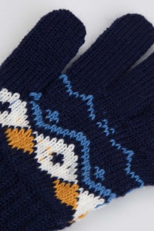 COCCODRILLO pirštuotos pirštinės ACCESSORIES WINTER BOY, multicoloured, ZC3360308AWB-022 
