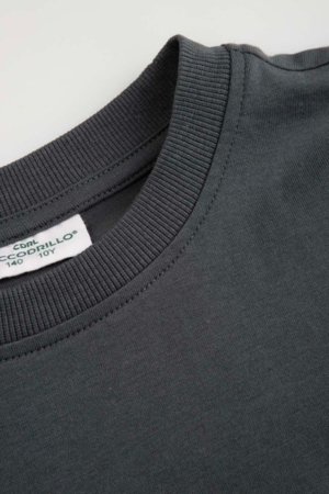 COCCODRILLO marškinėliai trumpomis rankovėmis, pilki, WC6143202RBJ-020-146, 146 cm 