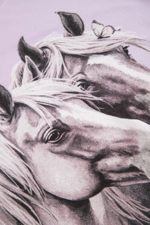 COCCODRILLO marškinėliai trumpomis rankovėmis, violetiniai, cm 