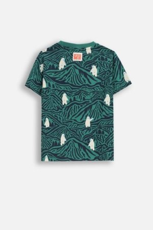 COCCODRILLO marškinėliai, spalvoti, cm 