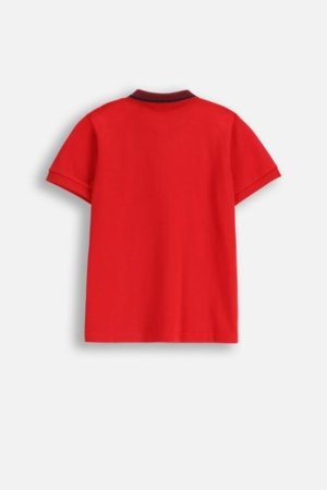 COCCODRILLO marškinėliai, raudoni, cm 