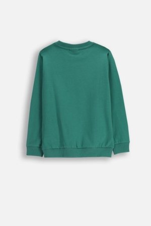 COCCODRILLO marškinėliai, žali, ZC5143101YBK-011-110, 110 cm 