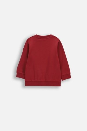 COCCODRILLO džemperis, raudonas, WC6143102HBN-017-080, 80 dydis 