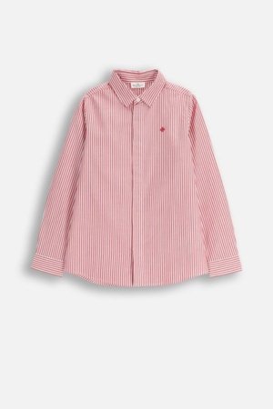 COCCODRILLO marškiniai, spalvoti, cm 