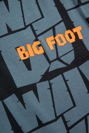 COCCODRILLO marškinėliai, spalvoti, ZC5143203YBJ-022-164, 164 cm 