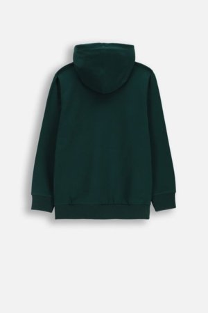 COCCODRILLO džemperis su gobtuvu, žalias, WC6132301VBA-011-146, 146 cm 