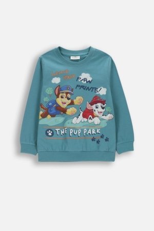 COCCODRILLO marškinėliai ilgomis rankovėmis, žali, 