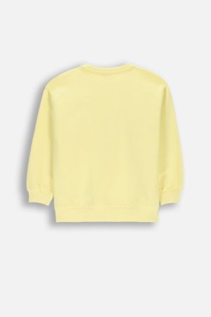 COCCODRILLO džemperis, geltonas, dydis 