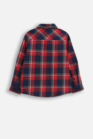 COCCODRILLO marškiniai, spalvoti, cm 