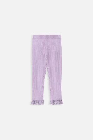 COCCODRILLO tamprės GARDEN ENGLISH NEWBORN, violetinės, WC4122102GEN-016-0 