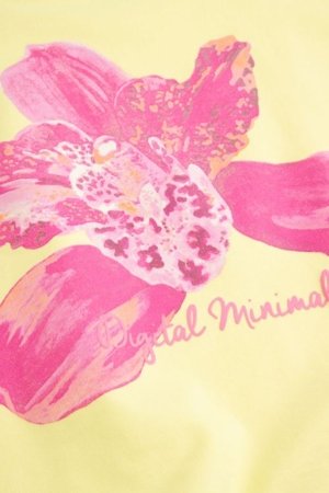 COCCODRILLO džemperis, geltonas, dydis 