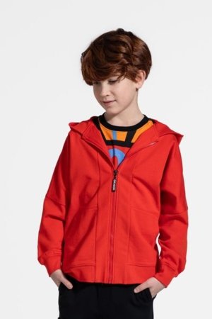 COCCODRILLO džemperis su gobtuvu DRAGONS BOY JUNIOR, raudonas, WC5132402DBJ-009-164, 164 cm 