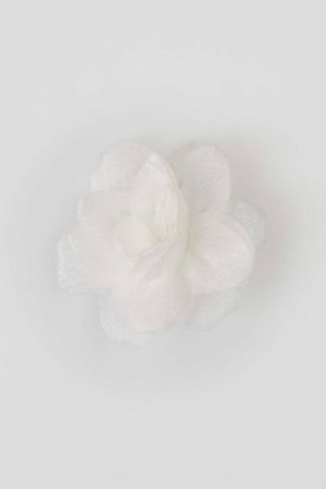 COCCODRILLO aksesuaras PETIT BIJOU, kreminis, ZC5325202PBJ-003-000, one size 