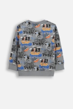 COCCODRILLO marškinėliai ilgomis rankovėmis, pilki, cm 