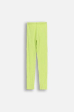 COCCODRILLO tamprės, žalios, dydis 