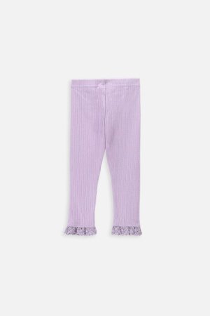 COCCODRILLO tamprės GARDEN ENGLISH NEWBORN, violetinės, WC4122102GEN-016-0 
