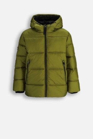 COCCODRILLO striukė OUTERWEAR BOY JUNIOR, žalia, cm 