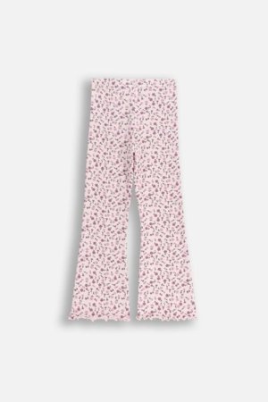 COCCODRILLO tamprės, spalvotos, ZC5122102WGK-022-104, 104 cm 