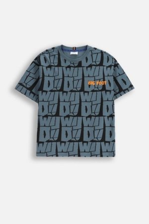 COCCODRILLO marškinėliai, spalvoti, ZC5143203YBJ-022-164, 164 cm 