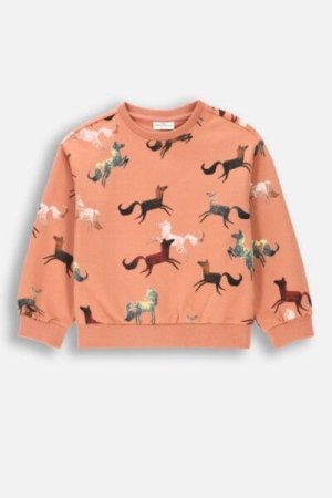 COCCODRILLO džemperis RODEO GIRL KIDS, powder pink, ZC4132101RGK-033-122, 122 cm 