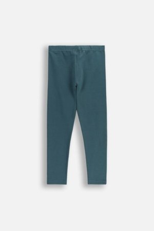COCCODRILLO tamprės EVERYDAY GIRL A, žalios, ZC5122101VGA-011-134, 134 cm 