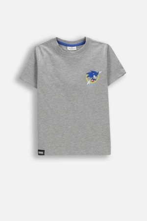 COCCODRILLO marškinėliai trumpomis rankovėmis LICENCE BOY, pilki, WC5143211LBD-019-122, 122 cm 