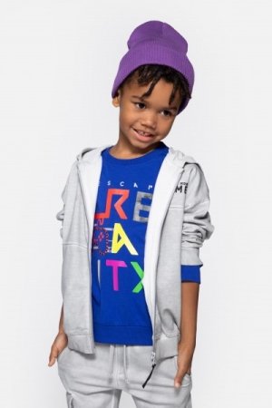 COCCODRILLO susegamas džemperis su gobtuvu GAMER BOY KIDS, pilkas, WC4132402GBK-019-122, 122 cm 