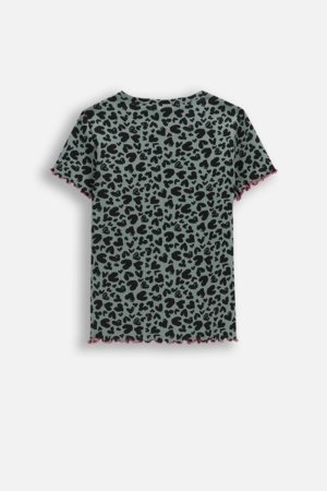 COCCODRILLO marškinėliai trumpomis rankovėmis, įvairiaspalviai, WC6143202RGJ-011-140, 140 cm 