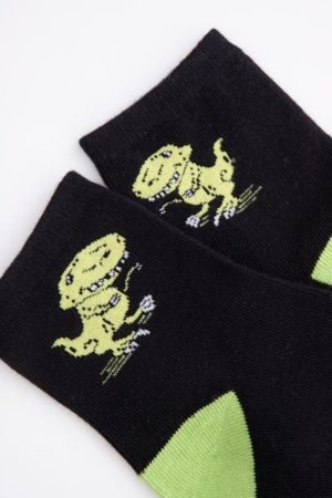 COCCODRILLO kojinės SOCKS BOY, spalvotos, WC5382213SOB-022-036, 36 cm 