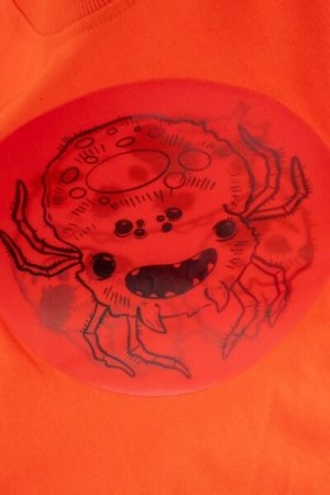 COCCODRILLO marškinėliai GRUNGE SWAMP BOY KIDS, raudoni, ZC4143201GBK-009-122, 122 cm 