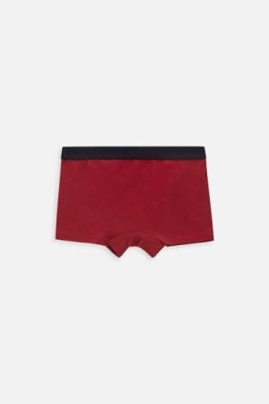 COCCODRILLO kelnaitės PANTS, spalvotos, 2vnt., ZC3409502LBH-022-164, 164 cm 